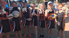 Manly Warringah Netball Gala Day